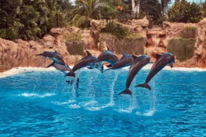 SeaWorld's Howl-O-Scream