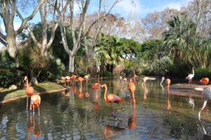Local Balboa Park Attractions