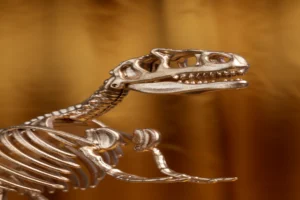 From Humble Origins to a Scientific Colossus